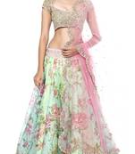 Buy multicolor embroidred net lehenga choli multicolor-embroidred-net-lehenga-choli-lehenga-choli online
