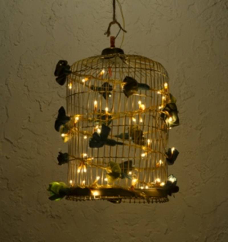 Buy Bird Cage lights Online